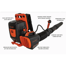 Load image into Gallery viewer, 6a857ff9-4a04-4220-673f-08dcacb269f8