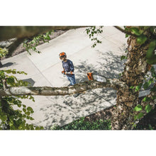 Load image into Gallery viewer, d8eba114-f3a1-4367-0b86-08dd6c9584a3