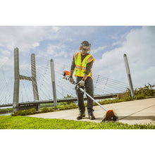 Load image into Gallery viewer, fbb9120b-0bb5-4d89-a21b-08dd7b62e5ec