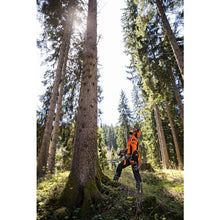 Load image into Gallery viewer, cd45ae0e-214b-4721-8eb0-08ddebaf7ca0