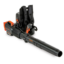 Load image into Gallery viewer, 719c4f6d-921f-4bb2-673e-08dcacb269f8