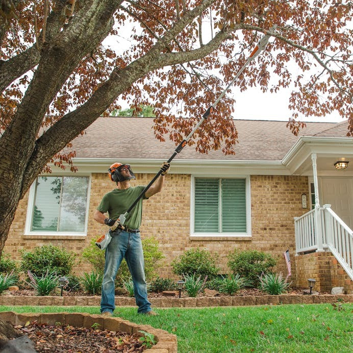 4852cd4e-693b-4278-8d57-08dd6176ed3d